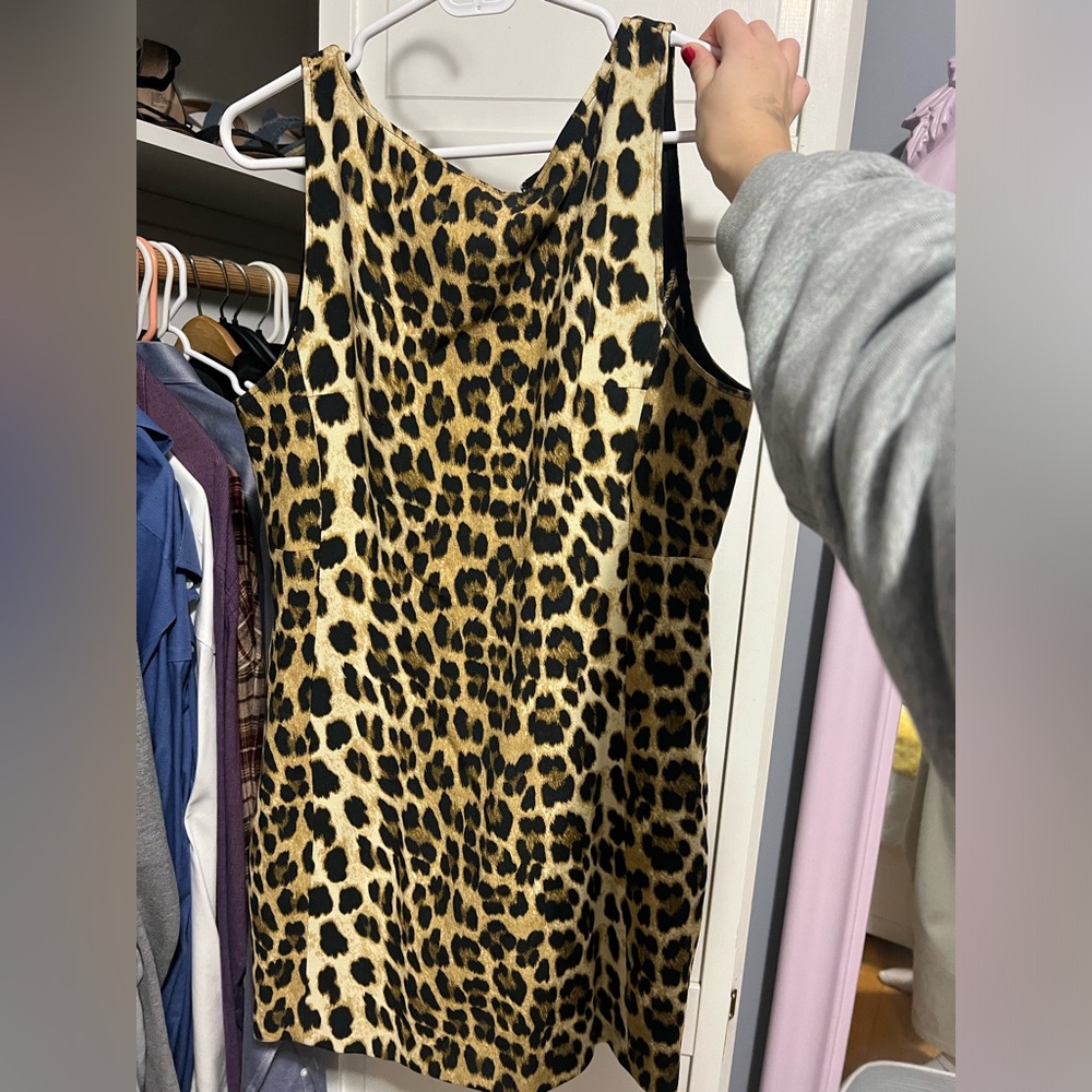 Zara leopard print dress